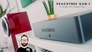 [閒聊] Peachtree Audio Gan 1 DAC-less AMP