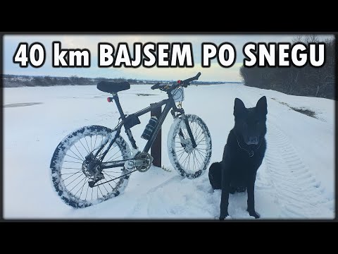 40 km bajsem sa psom po snegu