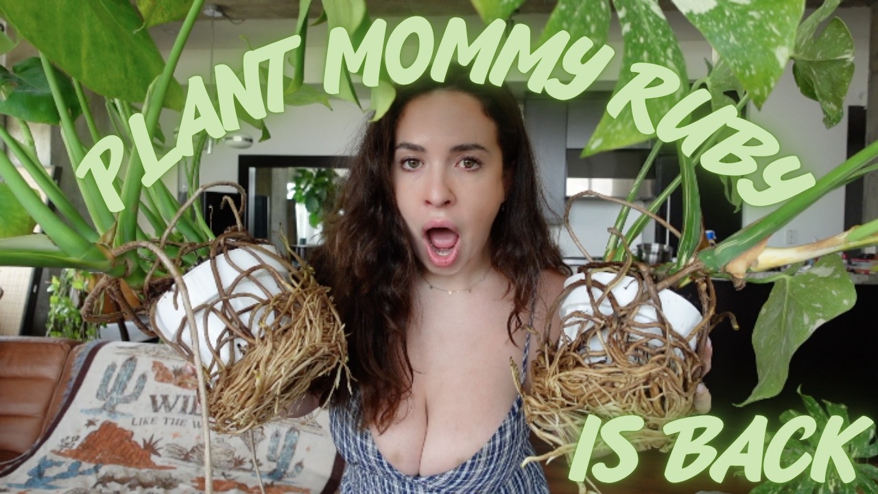 Plant Mommy Ruby to the rescue!! - Gurthmaster edition