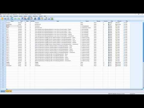 Qualtrics To Spss Data Cleaning