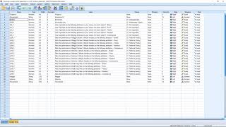 Qualtrics to SPSS: Data Cleaning