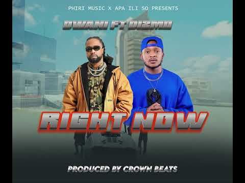 RIGHT NOW  'Apapene"  -  DWANI Ft. DIZMO
