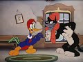 Woody Woodpecker Pantry Panic 1941 Comedy Animation Short