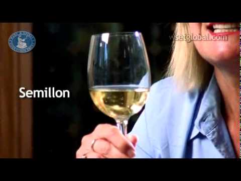 WSET 3 Minute Wine School - Australia, presented by Jancis Robinson MW