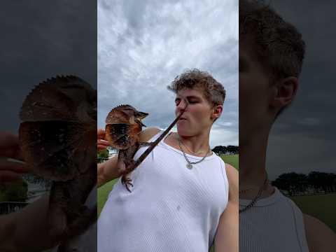 I GOT ATTACKED BY THIS LIZARD! #shorts