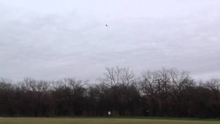 preview picture of video 'Aerial - Trex 500 Fbl 3D Flight Olmos Basin Park 2-10-13'