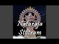 Nataraja Stotram