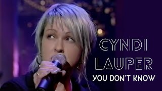 Cyndi Lauper - You Don&#39;t Know (Live Performance)