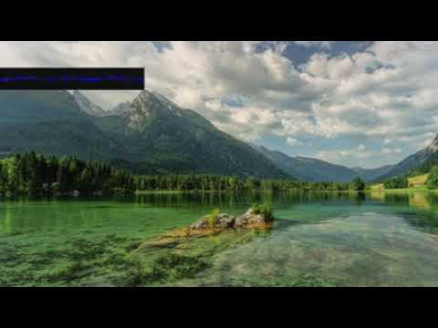 Polyphonicrelease Time uokiawusqu