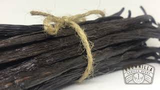 Download lagu Vanilla Bean Planifolia Grade A mp3 Download lagu Vanilla Bean Planifolia Grade A mp3