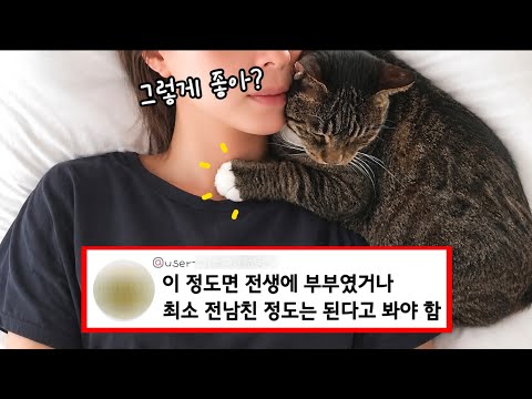 길에서 혼자 어떻게 살았어? 고양이가 집사를 너무 사랑하면 생기는 일