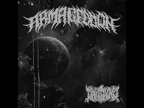 DXVDXND - VAMPIRE Lyric Video