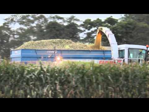 Claas Jaguar 900 Maize 2011 - (1080HD)