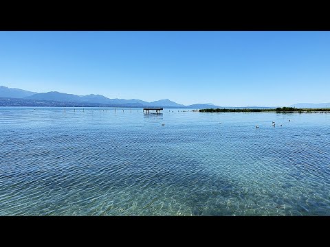 madih / Sudanese Chanting Group
