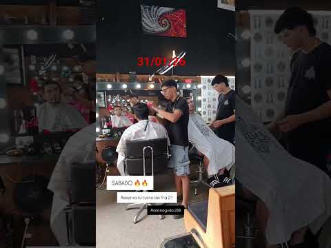 un día cualquiera en nuestro locas de Monteagudo 288 , san Miguel de Tucumán.