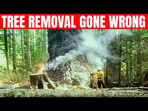 Idiots Cutting Trees With Chainsaws | Tree Falling & Chainsaw Fails Part 3