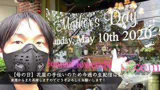 【ニューヨーク郊外】母の日で妻の花屋を手伝いました【コロナで人手不足】