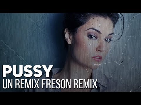 Rammstein - Pussy (Un quickie freson remix by Alambrix) [Unofficial]
