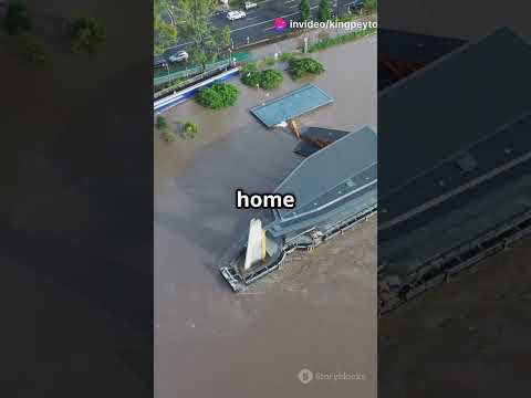 Weny : form humble beginnings to today