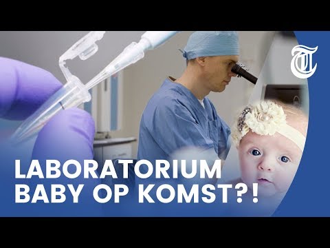 Doorbraak! Nederlanders kweken embryo zonder sperma