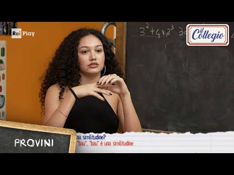 Provini: Una similitudine? "Cane e 'bau'" - Il Collegio 8