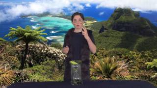 Lord of the Flies Review