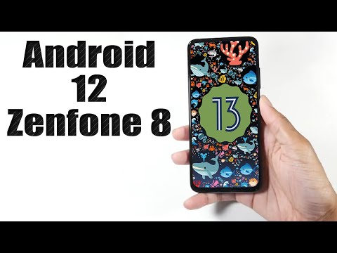 Install Android 13 on Zenfone 8 (AOSP Rom) - How to Guide!