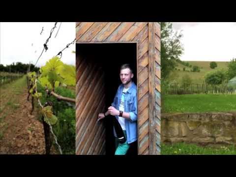 Wine Education 101: Jens Windisch on Spätburgunder?