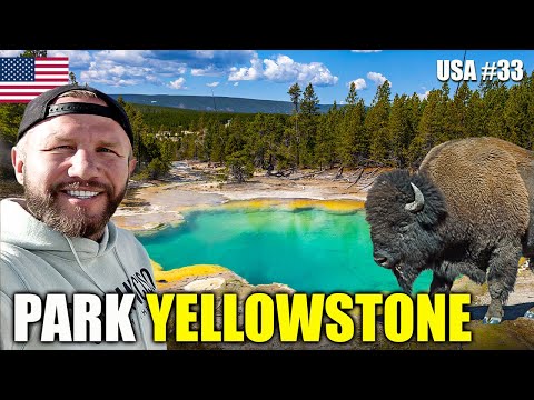 YELLOWSTONE Park is a must-see for everyone! I wasn't disappointed! | USA #23