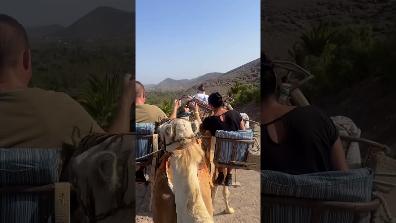 カナリア諸島🇮🇨