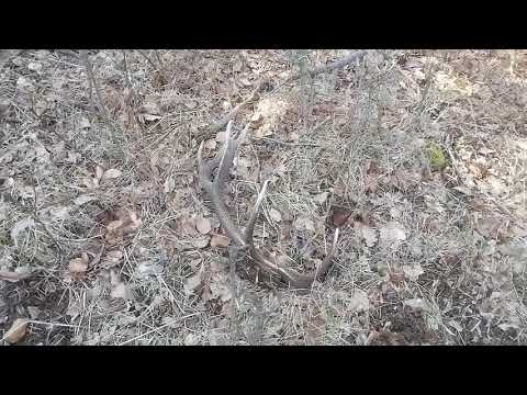 Zobaczcie jak farciarz znalazł zrzuta.