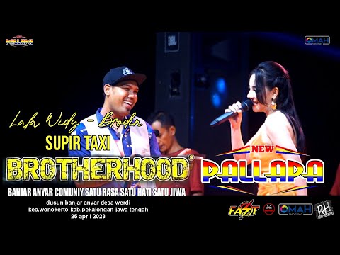 SUPIR TAKSI - LALA WIDY FT BRODIN - NEW PALLAPA - LIVE BROTHERHOODS 2023