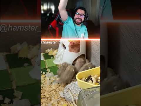 ما عم تلحق الام رضاعة 😂