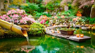 No Ads Relaxing Music, ストレス解消音楽、心を落ち着かせる音楽、リラックスできる音楽、自然音