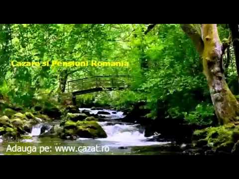 Cazare Dealu Viilor, Arges - Cazat.ro