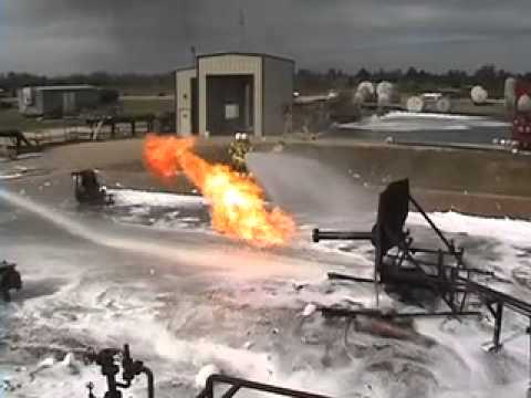 Gorilla Flex H.264.mov