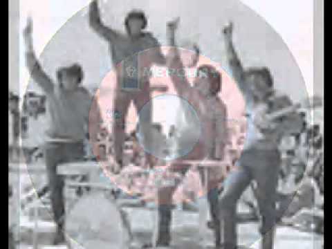 Rapid Transit - The Robbs (1967).mov