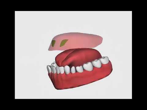 Online sufara   izgovor harfa ZA  "Motivacijom ka Džennetu"