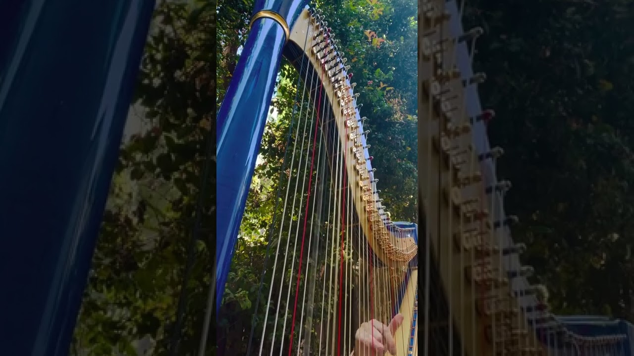 Promotional video thumbnail 3 for Morgan Kenyon