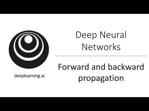Forward and Backward Propagation