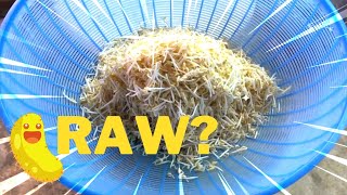 Do bean sprouts need to be cooked or can they be eaten raw?