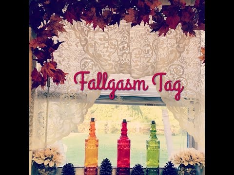 download lagu mp3 mp4 Pumpkin Patch Royal Palm Beach, download lagu Pumpkin Patch Royal Palm Beach gratis, unduh video klip Pumpkin Patch Royal Palm Beach