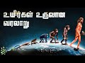 History Of The Origin Of Life First Life On Our Planet Vaan Veli