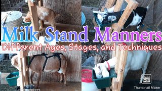How To Train Dairy Goats to be MILKED! --All Ages and Stages
