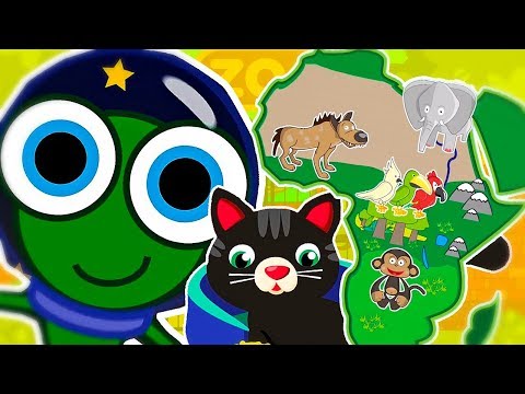 MIX / IDZIEMY DO ZOO / DZIECIĘCE PRZEBOJE / 60 minut / Polskie piosenki dla dzieci