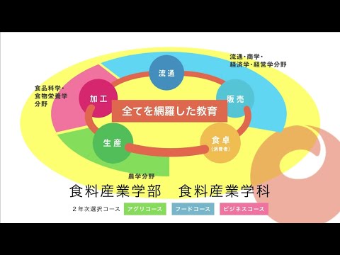 フードチェーンを学ぶ まとめ