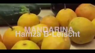 2 KILO MANDARINEN (Miami Yacine Parodie) Kokaina