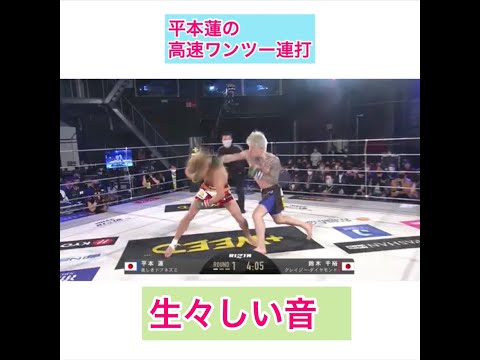 平本蓮 の高速ワンツー　#平本蓮 #平本　#鈴木千裕 #rizin #萩原恭平 #朝倉未来  #shorts