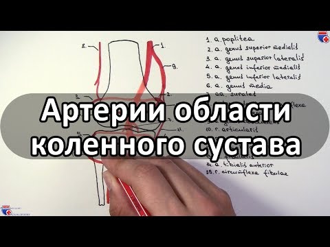 Блокада коленных суставов лекарство Мазь от растяжении связок коленного сустава