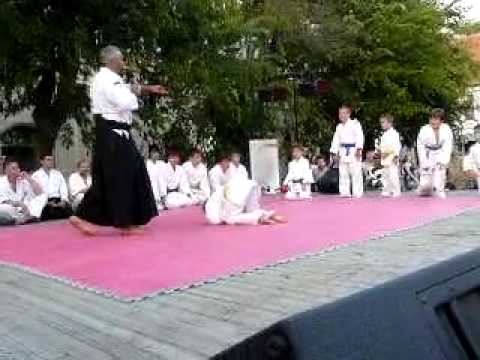 Hikari Aikido bemutató 2009 - 1. rész